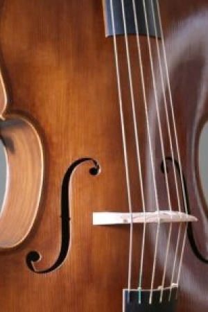 Violone in G, an italian model