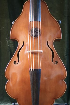 Violone